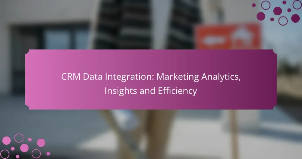 Integración de Datos CRM: Análisis de Marketing, Información y Eficiencia
