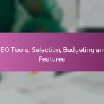 Herramientas SEO: Selección, Presupuesto y Características